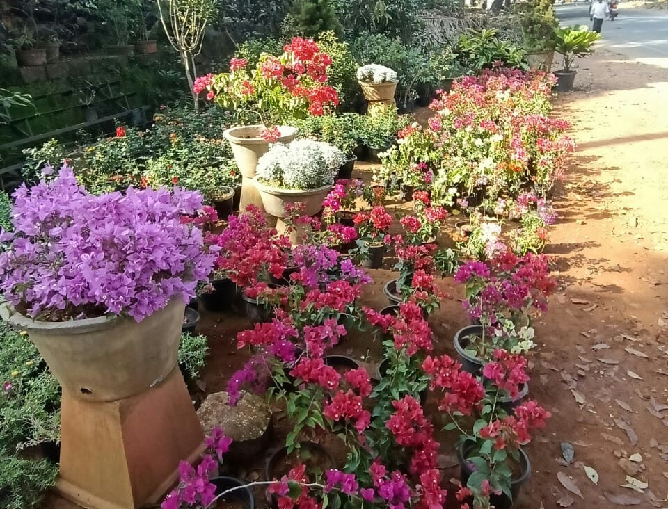 Aqua Gardens & Craft Vellimadukunnu | Chelavoor | Thamarassery