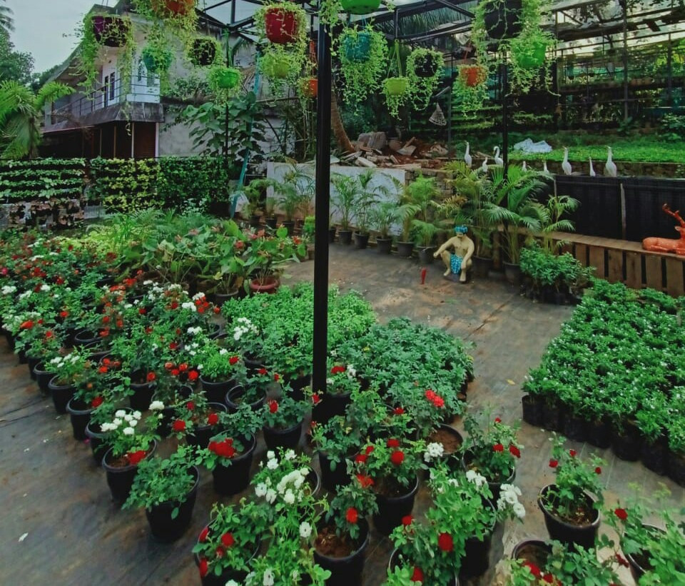 Aqua Gardens & Craft Vellimadukunnu | Chelavoor | Thamarassery