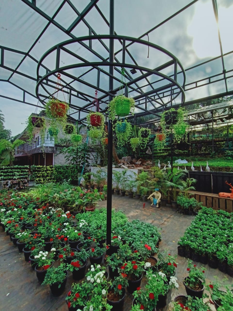 Aqua Gardens & Craft Vellimadukunnu | Chelavoor | Thamarassery